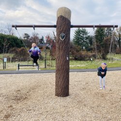 Swings