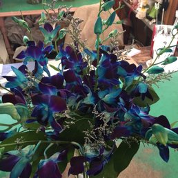 Blue orchids Blue orchids