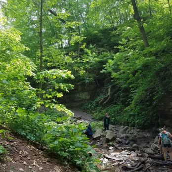Parfrey's Glen - Hiking Near Me Parfrey's Glen - Hiking Near Me