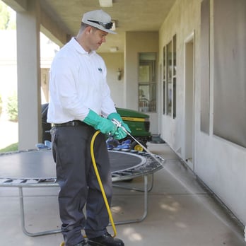 What's Bugging You Pest Control - Pest Control Near Me