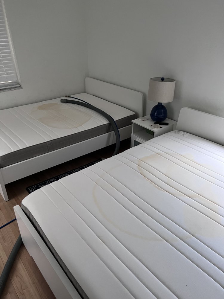 CHOICE CLEANING SOLUTIONS Updated May 2024 Request a Quote 14