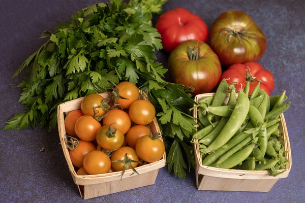 Forts Ferry Farm by null