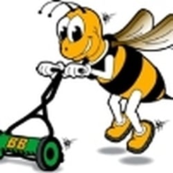 Busy Bee Lawn Care & Sprinkler Repair - Sprinkler & Irrigation Repair Service, Lawn Service