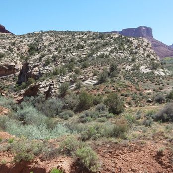 Red Cliffs Lodge Moab - Hotels Near Me - Moab, Utah