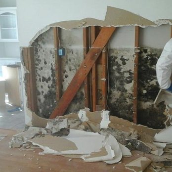 The Mold Guys - Beware of hidden mold! - Environmental Testing Near Me - Venice, Florida