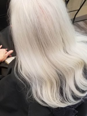 Blonding - Today’s blonding services have evolved dramatically from highlighting techniques used just a decade ago. Traditional highlights often focused on uniform foils and one-dimensional color placement, creating a more structured and consistent result. Modern blonding is far more customized and artistic, incorporating techniques like balayage, lived-in color, babylights, root smudging, teasylights, and color melting to create softer transitions and natural-looking dimension. Advances in color technology, bond-building treatments, and personalized formulation also allow stylists to achieve brighter, healthier blondes while maintaining hair integrity. The focus has shifted from simply making hair lighter to creating tailored, low-maintenance blonding experiences that complement each client’s lifestyle, features, and long-term hair goals. Blonding - Today’s blonding services have evolved dramatically from highlighting techniques used just a decade ago. Traditional highlights often focused on uniform foils and one-dimensional color placement, creating a more structured and consistent result. Modern blonding is far more customized and artistic, incorporating techniques like balayage, lived-in color, babylights, root smudging, teasylights, and color melting to create softer transitions and natural-looking dimension. Advances in color technology, bond-building treatments, and personalized formulation also allow stylists to achieve brighter, healthier blondes while maintaining hair integrity. The focus has shifted from simply making hair lighter to creating tailored, low-maintenance blonding experiences that complement each client’s lifestyle, features, and long-term hair goals.