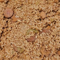 Cajun Food Coma - Jambalaya