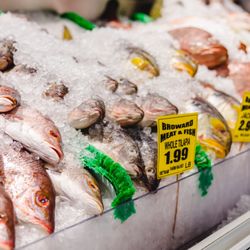 Broward Meat & Fish