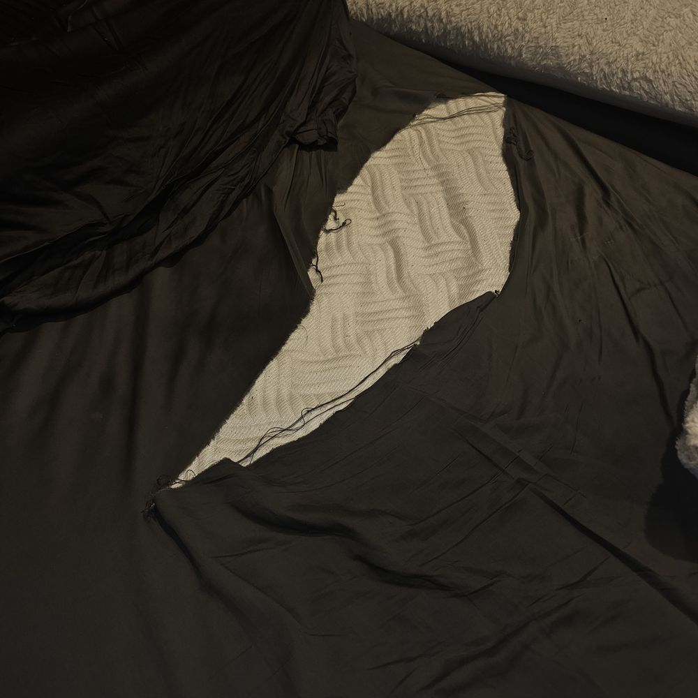 Cariloha - Mattresses Near Me - Orlando, Florida Cariloha - Mattresses Near Me - Orlando, Florida