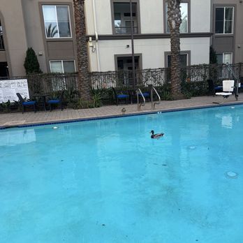 Alta South Bay - Apartments Near Me - Torrance, California