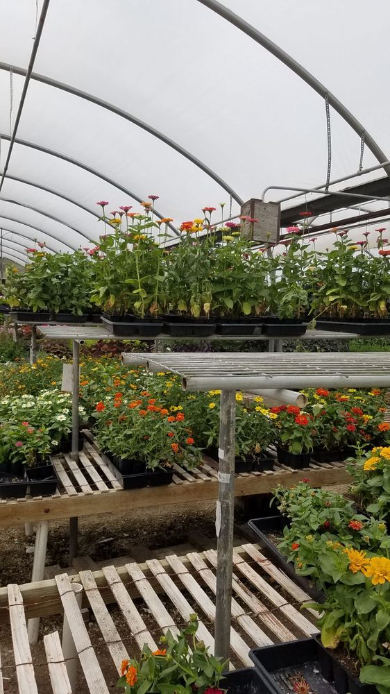 ANTON’S GREENHOUSES Updated June 2024 17 Photos 9140 Cooper Rd, Pleasant Prairie