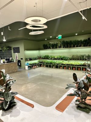 Grounded: Plant Shop, Cafe, & Wellness Studio by null