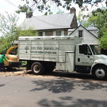 Ed's Tree Service - Tree Services Near Me - Beltsville, Maryland Ed's Tree Service - Tree Services Near Me - Beltsville, Maryland
