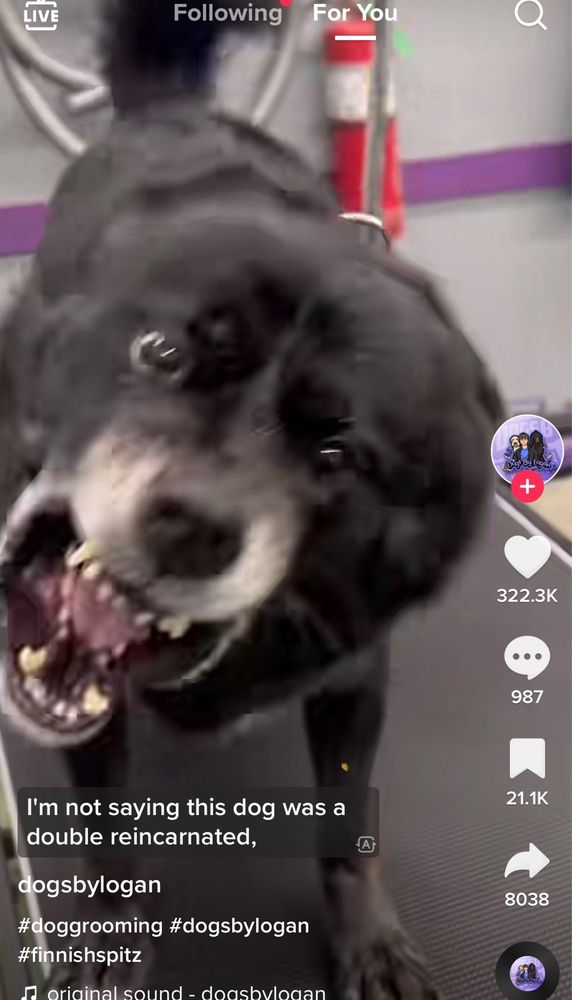 PROSPECT HIGH SCHOOL Updated August 2024 801 W Kensington Rd, Mount