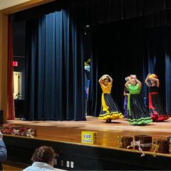 Oldemeyer Multi Use Center - Flamingo dance