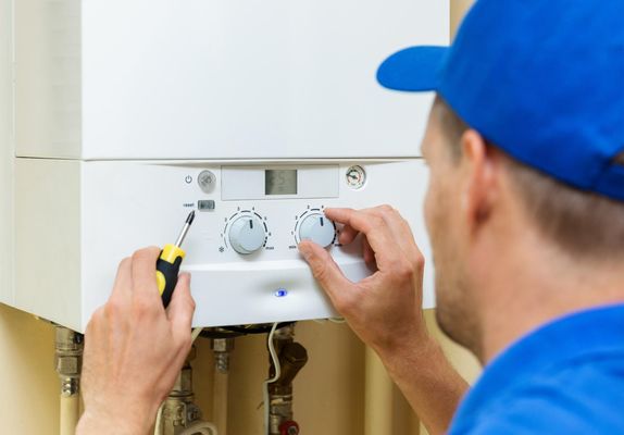 Einstein Pros Plumbing - Eagle Logo
