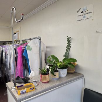 Sun's Alterations & Dry Cleaning - Lovely plants decorate one of the counters of the business, as the ready-to-pick-up clothes hang in the background. - Sewing & Alterations Near Me - Roanoke, Virginia