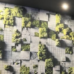 Peter Chang's China Grill - AI-generated wall art of moss and tiles. There are various wavy lines and inconsistent strokes.