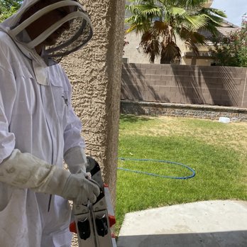 X Out Pest Services - Pest Control Near Me - Las Vegas, Nevada