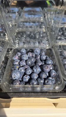 Meadowview Certified Farmers’ Market by null