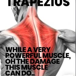 Therapeutic Massage By Marisa M. - A professional massage can relax this muscle that can cause strain, pain, headaches etc..916 718-1777 for appointment