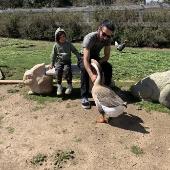 Seein' Spots Farm - Animal Shelters Near Me - Solvang, California Seein' Spots Farm - Animal Shelters Near Me - Solvang, California