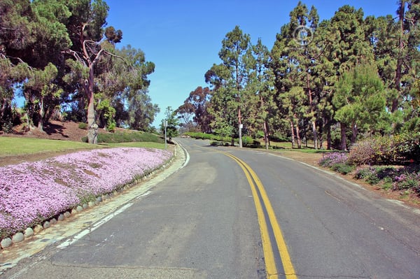 Presidio Park by null