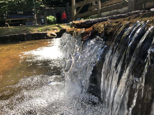 ROLATER PARK - Updated September 2024 - 30 Photos - 3 Georgia Ave, Cave ...