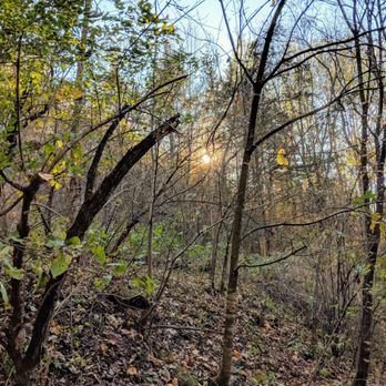 Anaway Place - Beautiful short trails around the cabins - Vacation Rentals Near Me - Richland Center, Wisconsin