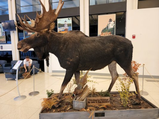 Portland International Jetport by null