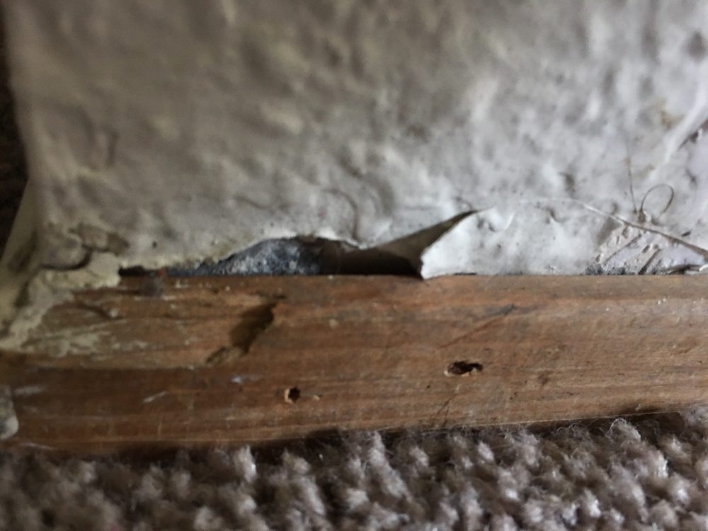 ASCOT VILLAGE 45 Photos 633 Ascot Dr, Vista, California