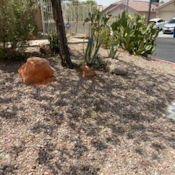 Arellano’s Tree Service - Front yard after--all clean! - Tree Services Near Me