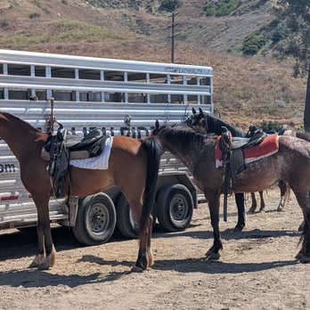 Malibu Riders - Beautiful horses! - Horseback Riding Near Me - Agoura Hills, California
