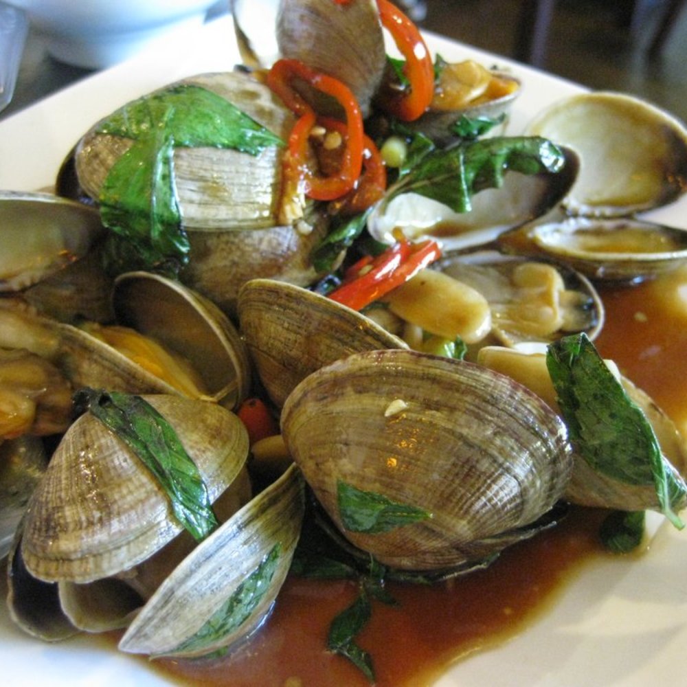 Facing East - Clams sauteed with Basil - Chinese Near Me - Bellevue, Washington Facing East - Clams sauteed with Basil - Chinese Near Me - Bellevue, Washington