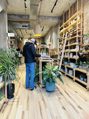 Gia and the Blooms -OTR by null