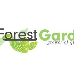 Pine Forest Gardens