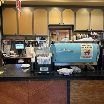 Colectivo Coffee Lincoln Park - Inside - Breakfast & Brunch Near Me - Chicago, Illinois