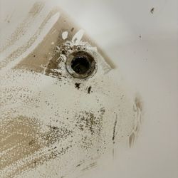 Walker Real Estate Consultants - Dirt from washing machine