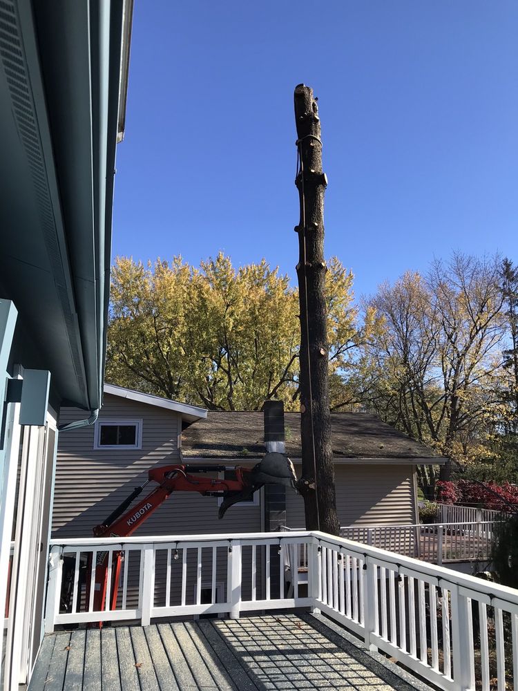 Angelo Tree Service - tree service in Danbury, CT