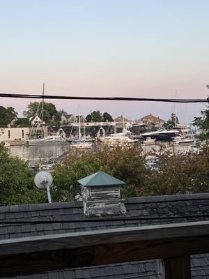 Sea Dog Brewing Co. by null