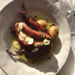 Grilled octopus, probably the best I've ever eaten