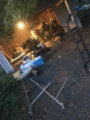 Cacti Transport & Recovery