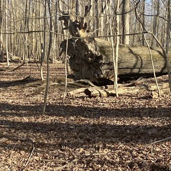 Char-Mar Ridge Preserve - Parks Near Me - Westerville, Ohio