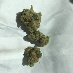 Purlife - Today's Sativa special: Tangie