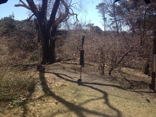 Mass Audubon Wellfleet Bay Wildlife Sanctuary by null