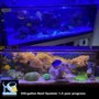 Photo of Water World Aquatics