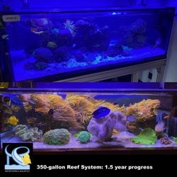 Water World Aquatics