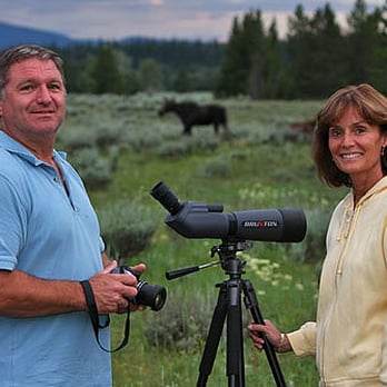 VIP Adventure Travel - Wildlife watching, Moose in Grand Teton. - Tours Near Me - Jackson, Wyoming VIP Adventure Travel - Wildlife watching, Moose in Grand Teton. - Tours Near Me - Jackson, Wyoming