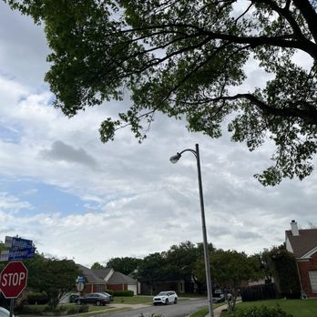 ALVARADO TREE TRIMMING CARE Updated January 2026 114 Photos 79 348s