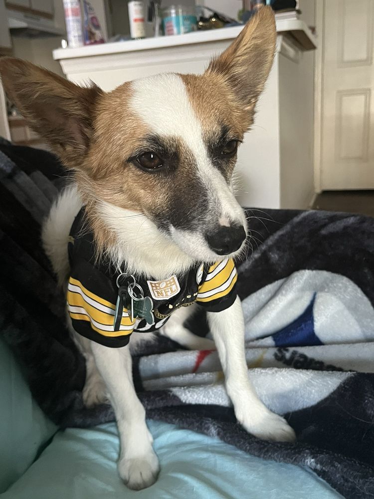 WISCOY FOR ANIMALS Updated September 2024 23 Reviews 424 W Aaron